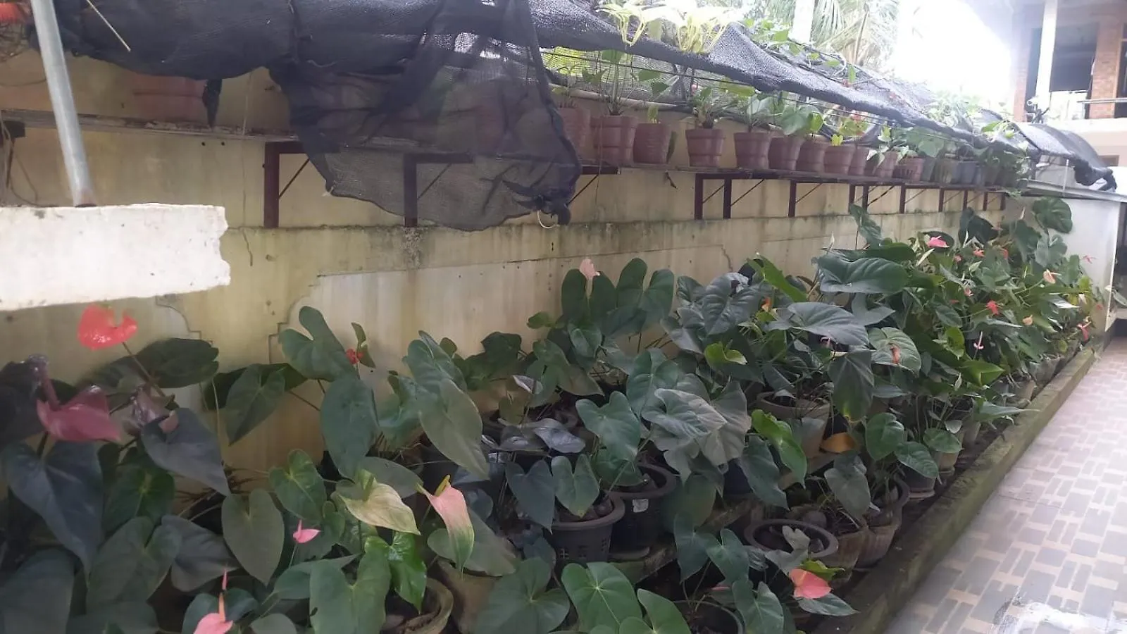 Hureshan Villa Negombo